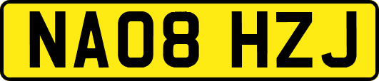 NA08HZJ