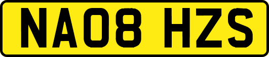 NA08HZS