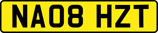 NA08HZT
