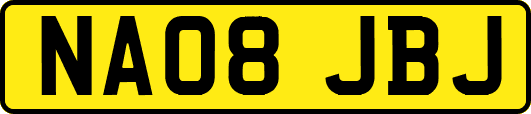 NA08JBJ