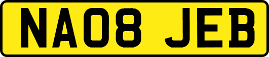 NA08JEB