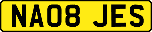 NA08JES