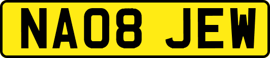 NA08JEW