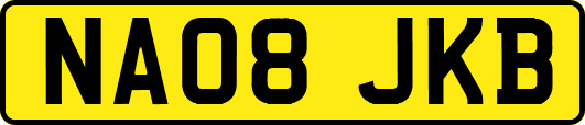 NA08JKB