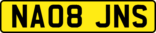 NA08JNS