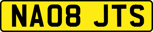 NA08JTS