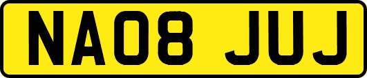 NA08JUJ