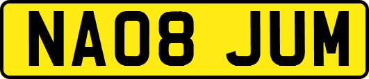 NA08JUM