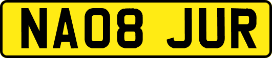 NA08JUR