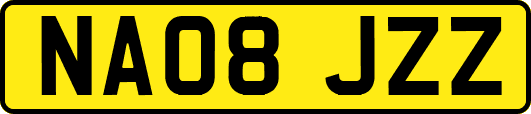 NA08JZZ