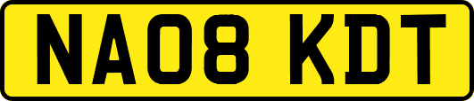 NA08KDT