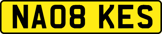 NA08KES