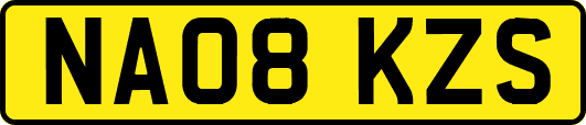 NA08KZS