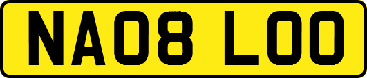 NA08LOO