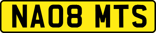 NA08MTS