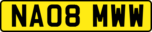 NA08MWW