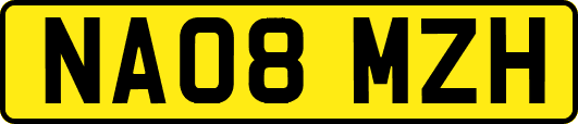 NA08MZH