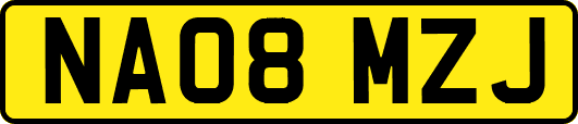 NA08MZJ