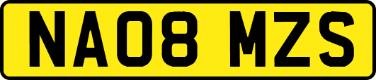 NA08MZS
