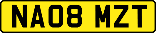 NA08MZT
