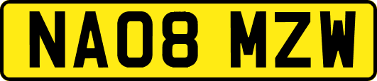 NA08MZW