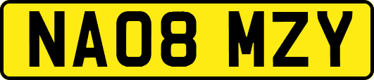 NA08MZY