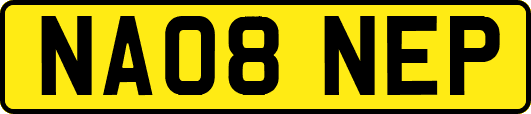NA08NEP