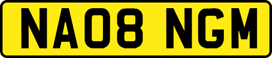 NA08NGM