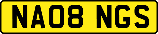 NA08NGS