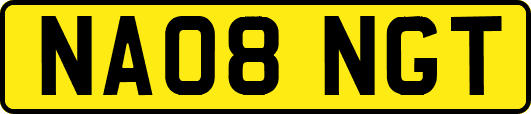 NA08NGT