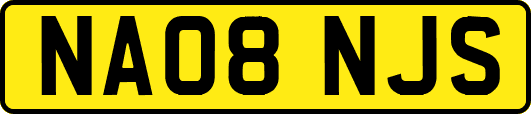 NA08NJS