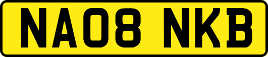 NA08NKB