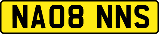 NA08NNS