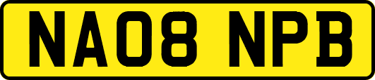 NA08NPB