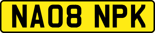 NA08NPK