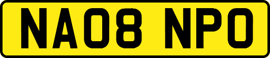 NA08NPO