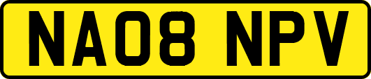 NA08NPV