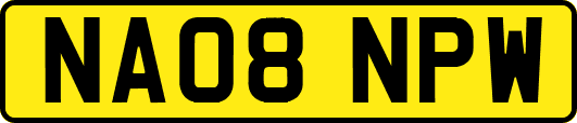 NA08NPW