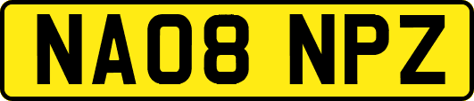 NA08NPZ