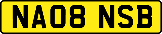 NA08NSB