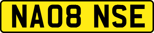 NA08NSE