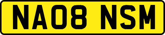 NA08NSM