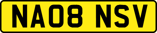 NA08NSV