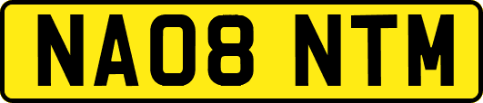 NA08NTM