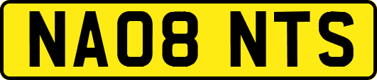NA08NTS