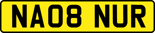 NA08NUR
