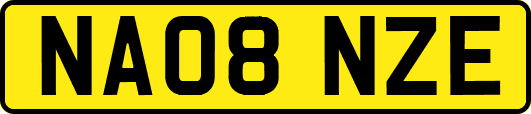 NA08NZE