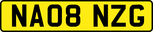 NA08NZG