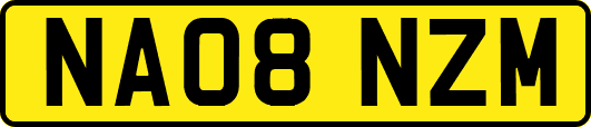NA08NZM
