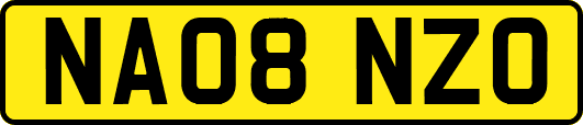 NA08NZO